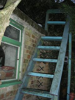 Air-raid shelter general structure. © Norma King