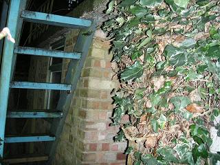 Air-raid shelter. © Norma King