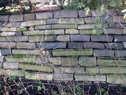 Green Chain walk. © Peter Frost