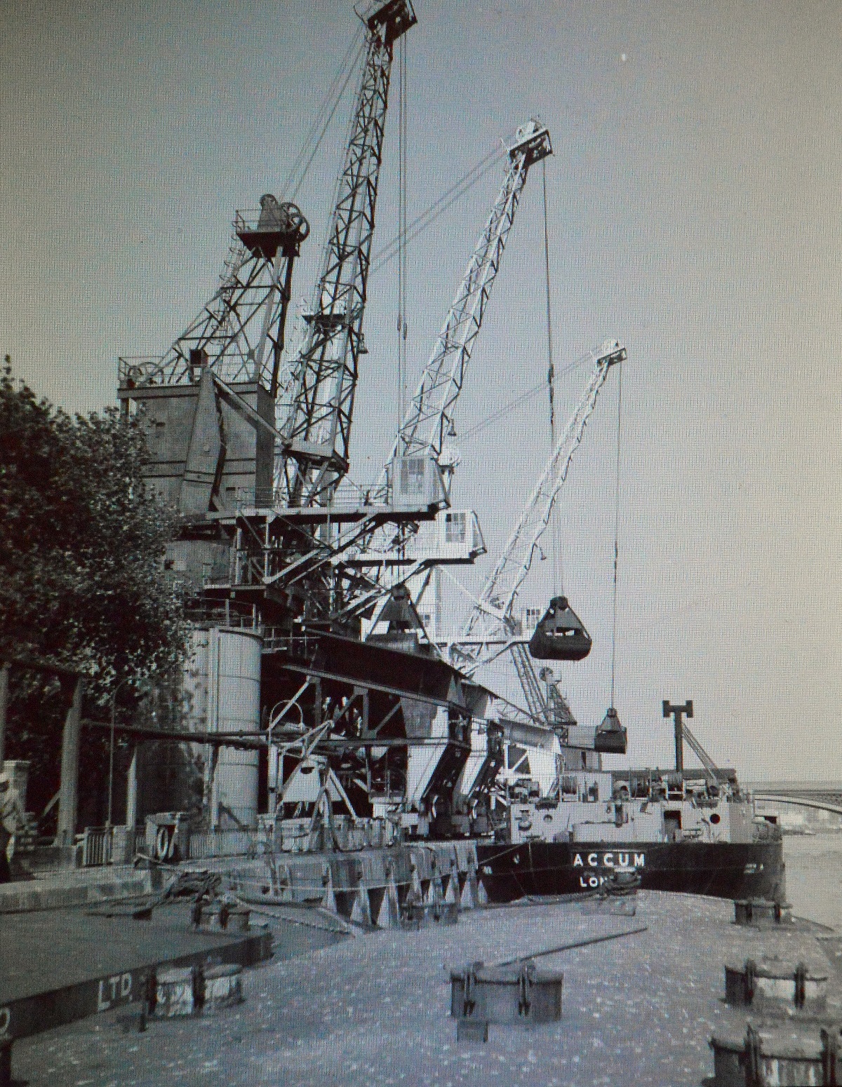 'Accum' at the wharf © Sidney Ray, 1959