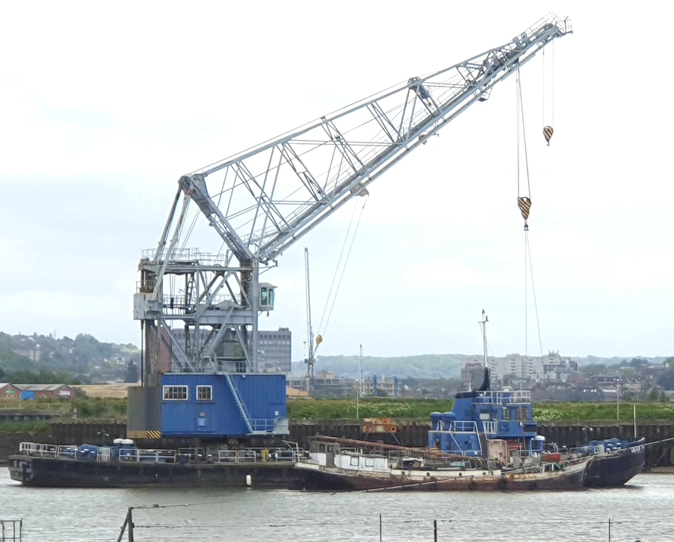 Devon Samson, Medway, May 2023, Pam Carr