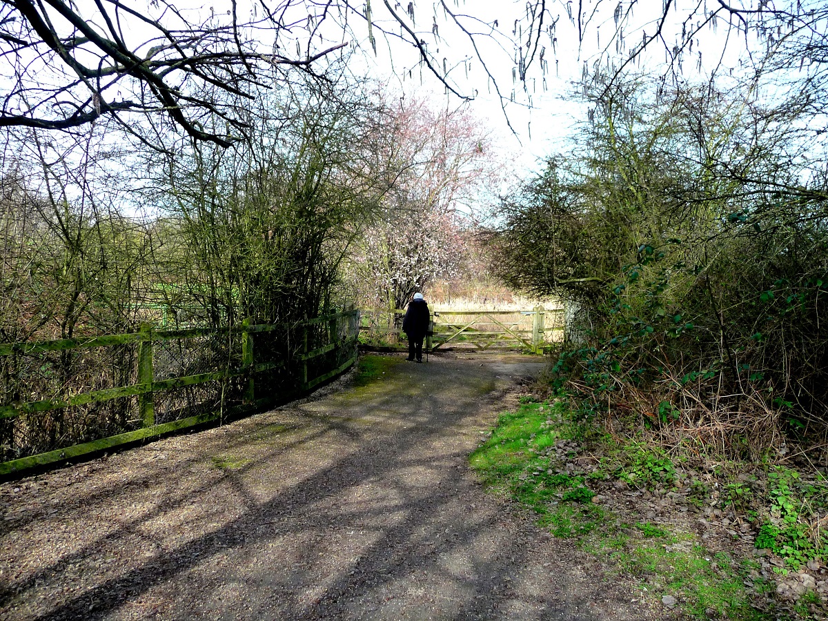 The eastern part of the Waterworks site, the former Essex filter beds, is currently a nature reserve