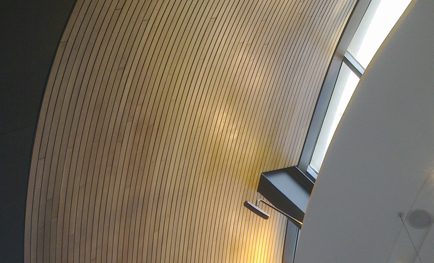 Heatherwick roof King's Cross 13 Jan 20 © R Carr