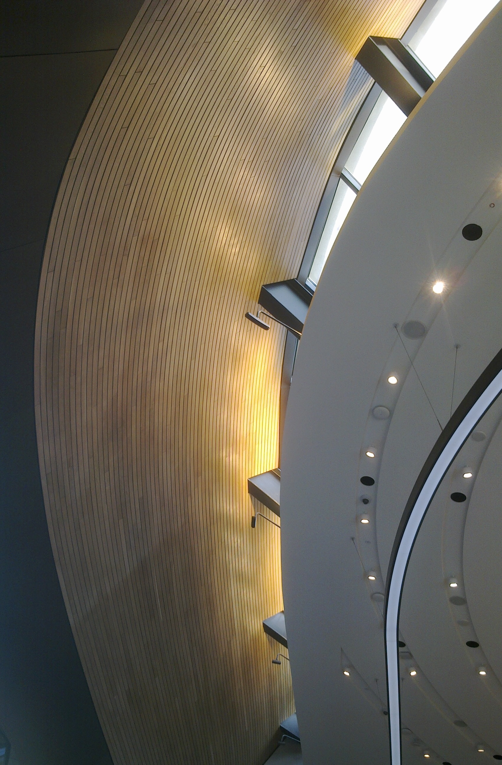 Heatherwick roof King's Cross 13 Jan 20 © R Carr