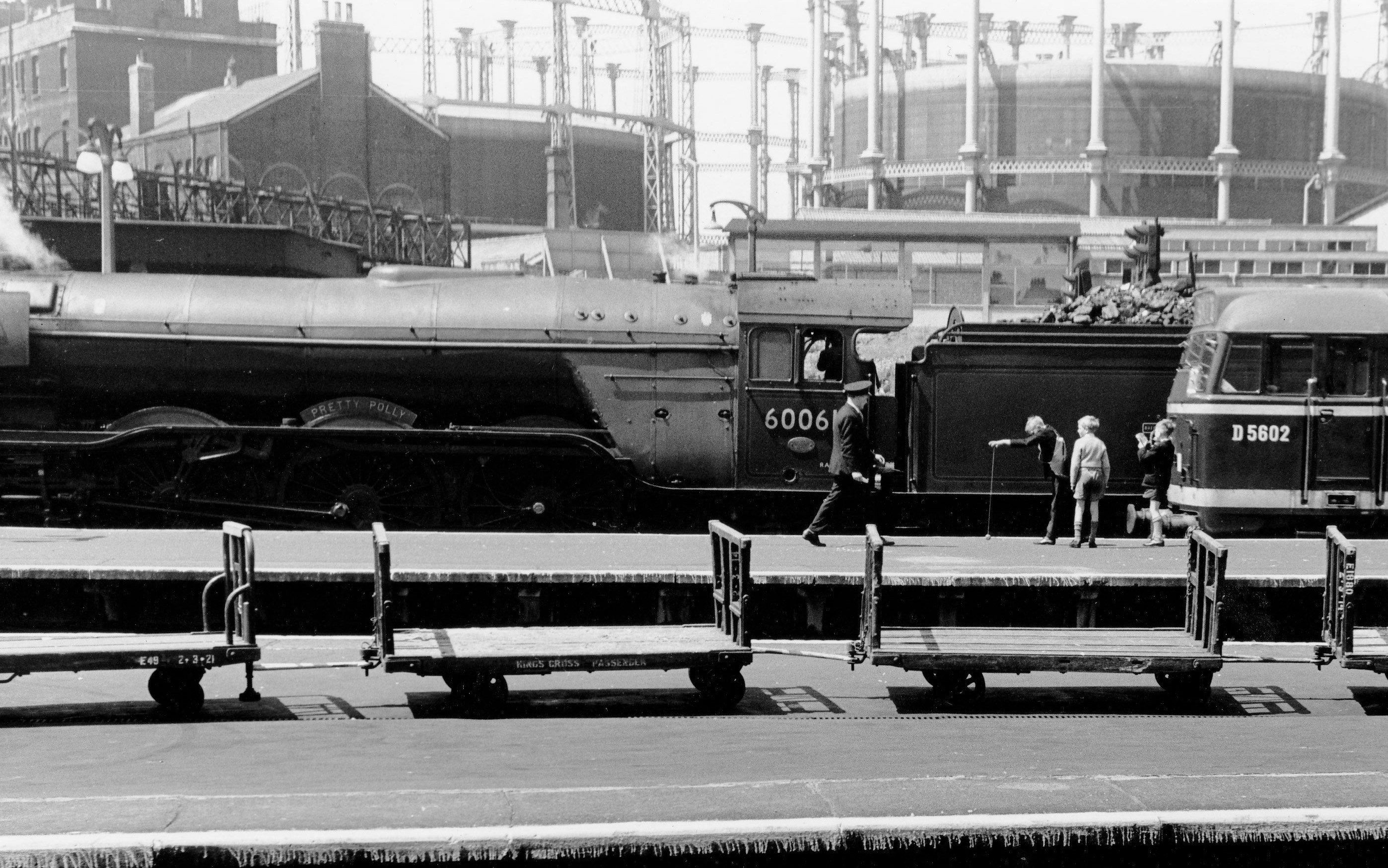 Pretty Polly &copy; Sidney Ray