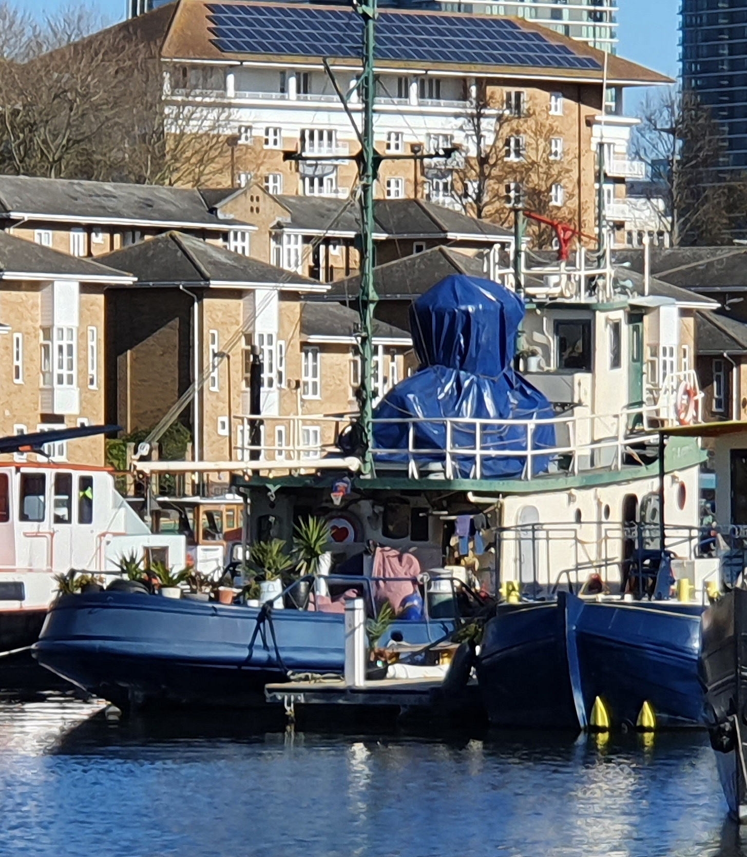 Sammy-Greenland-Dock, Feb-2022, P-Carr