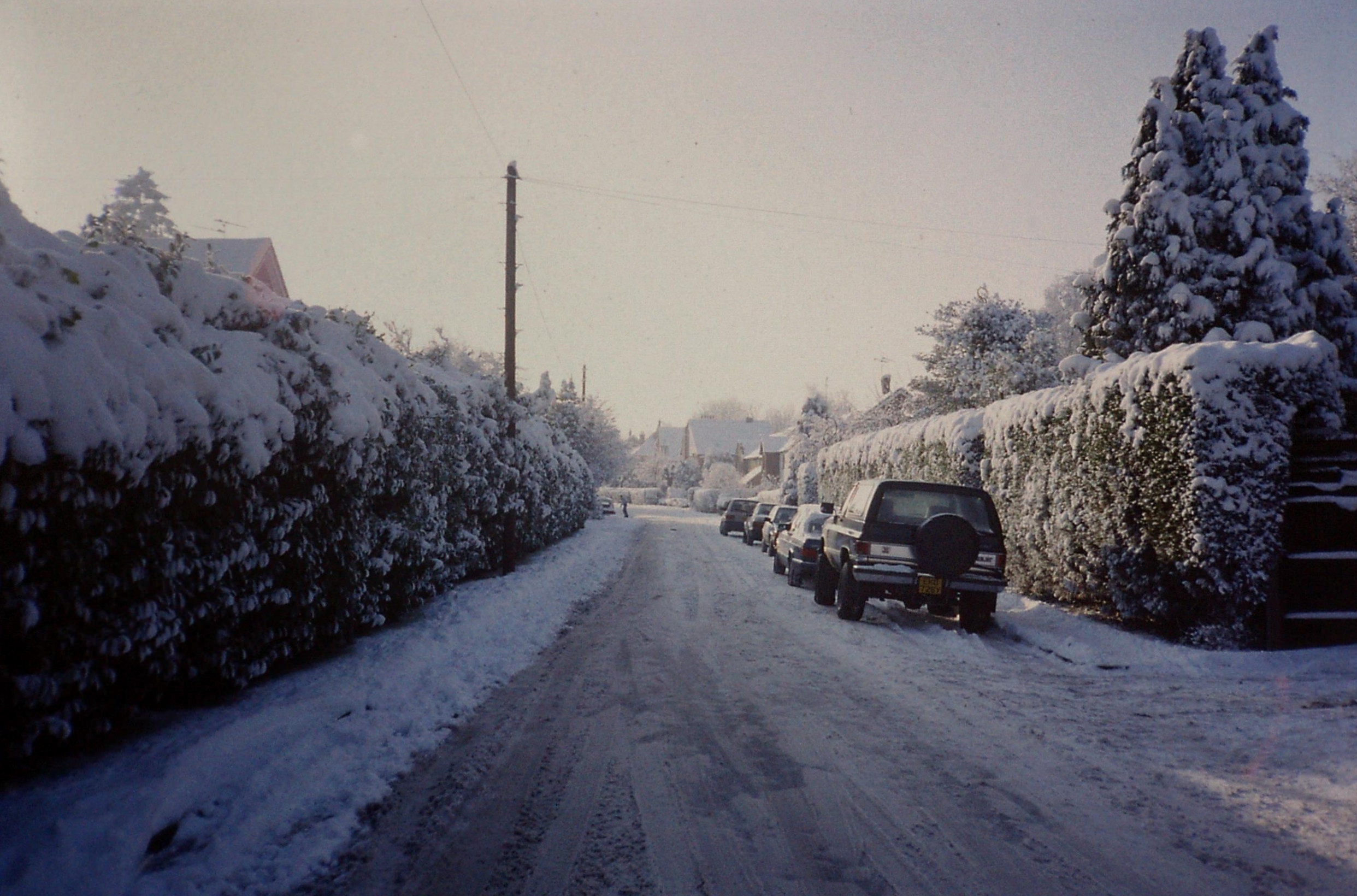 4. Mount Avenue in Shenfield © Bob Carr