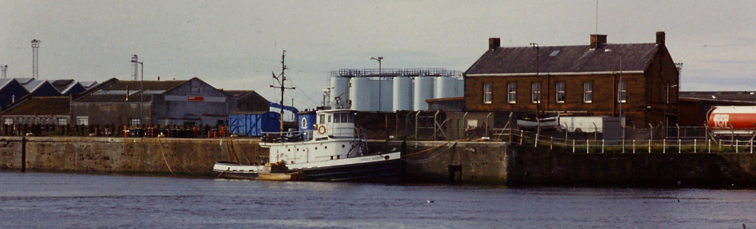 Whisky Warrior, Ayr, July 1991, RJM Carr