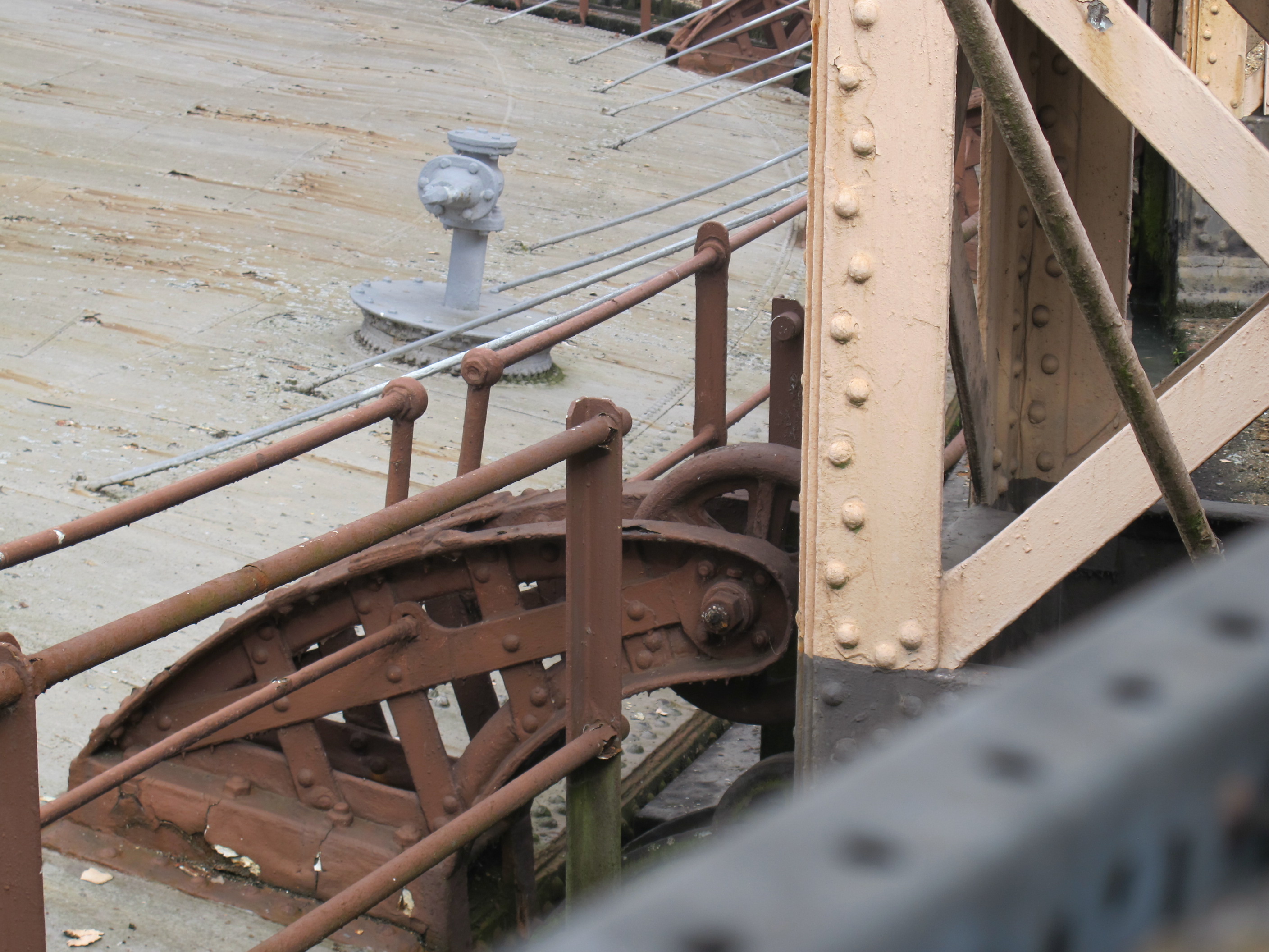 details. © Sarah Timewell