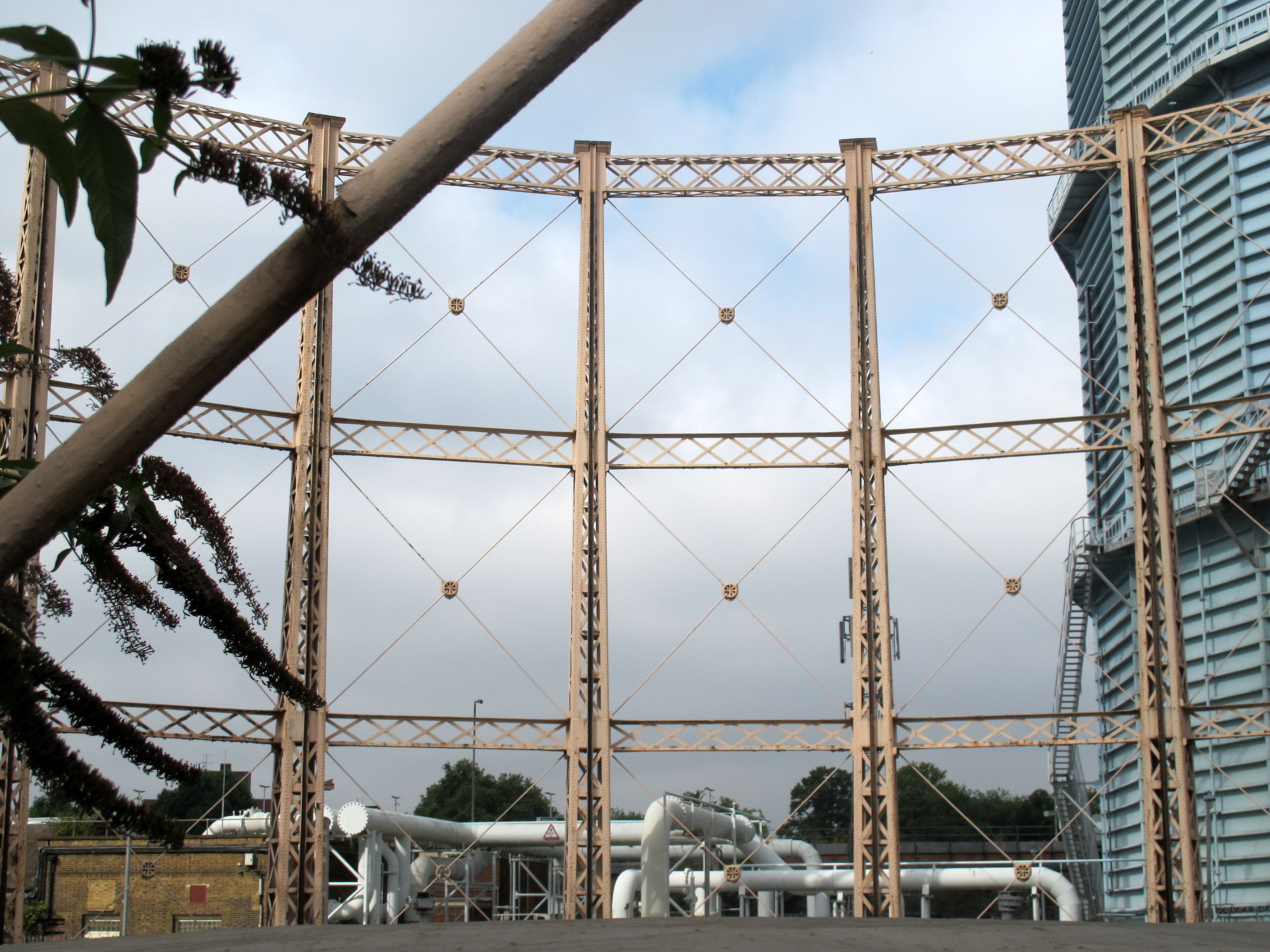 No 6. © Sarah Timewell