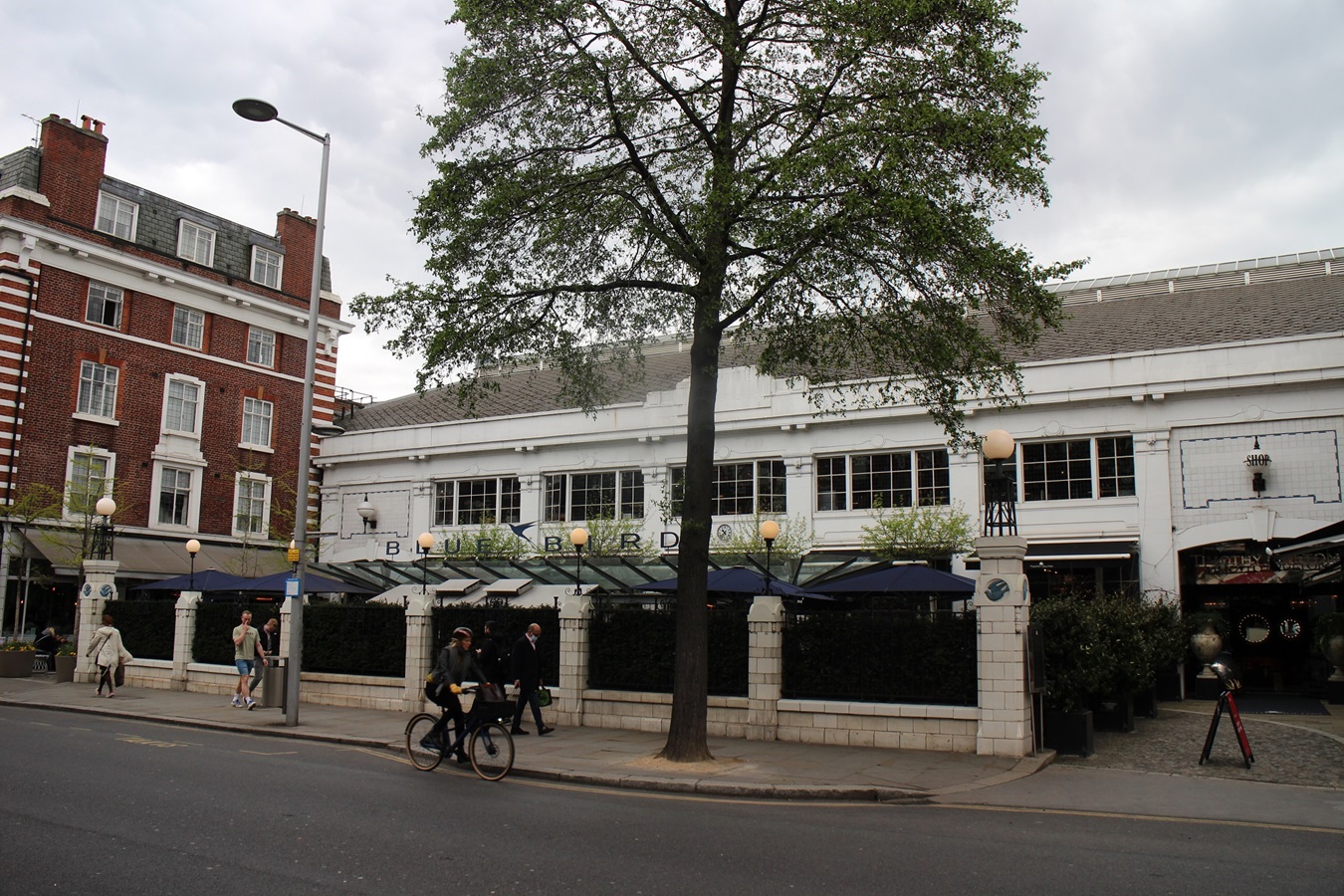 Bluebird, King's Road