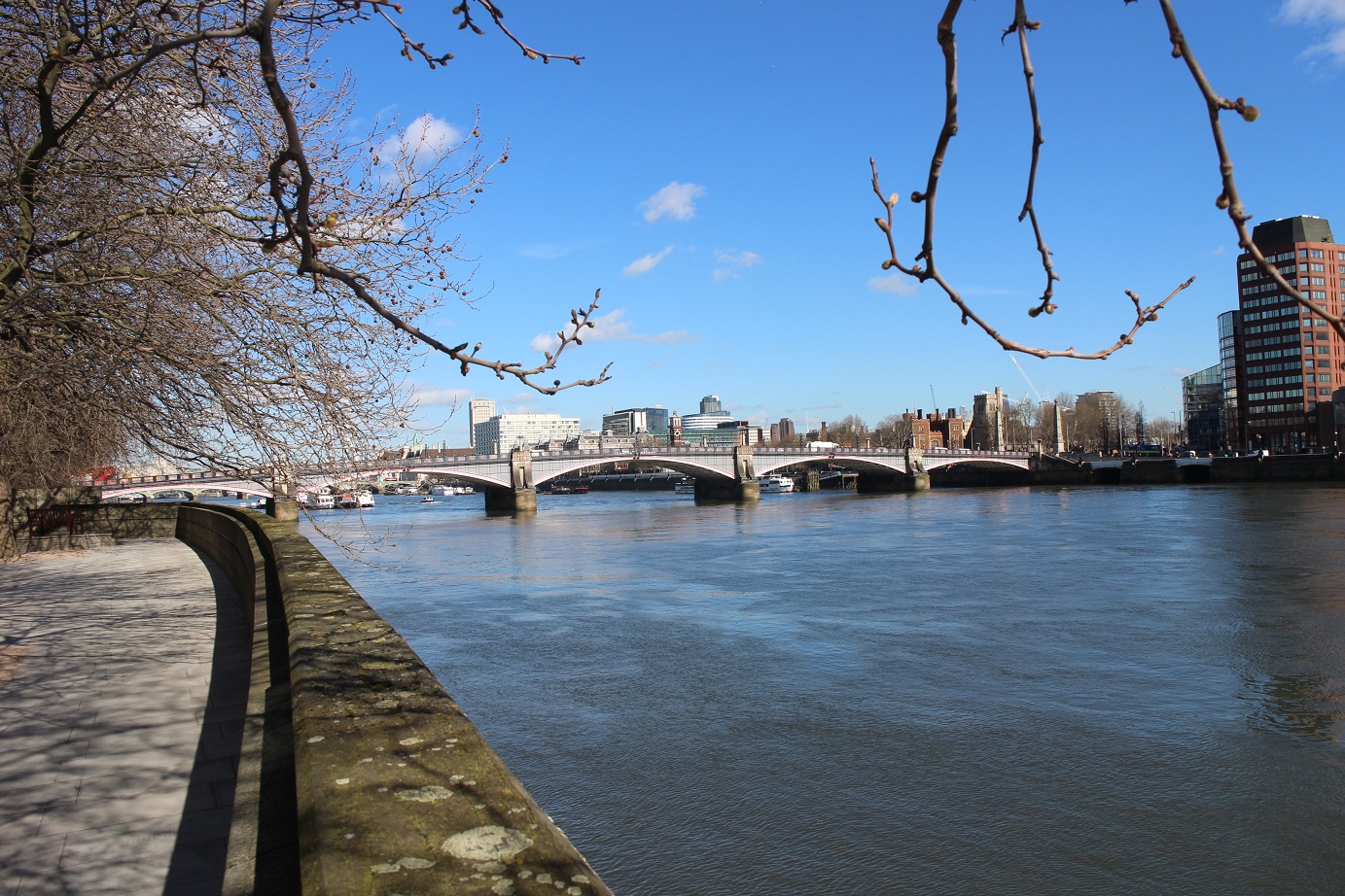 Lambeth Bridge © Robert Mason 2016