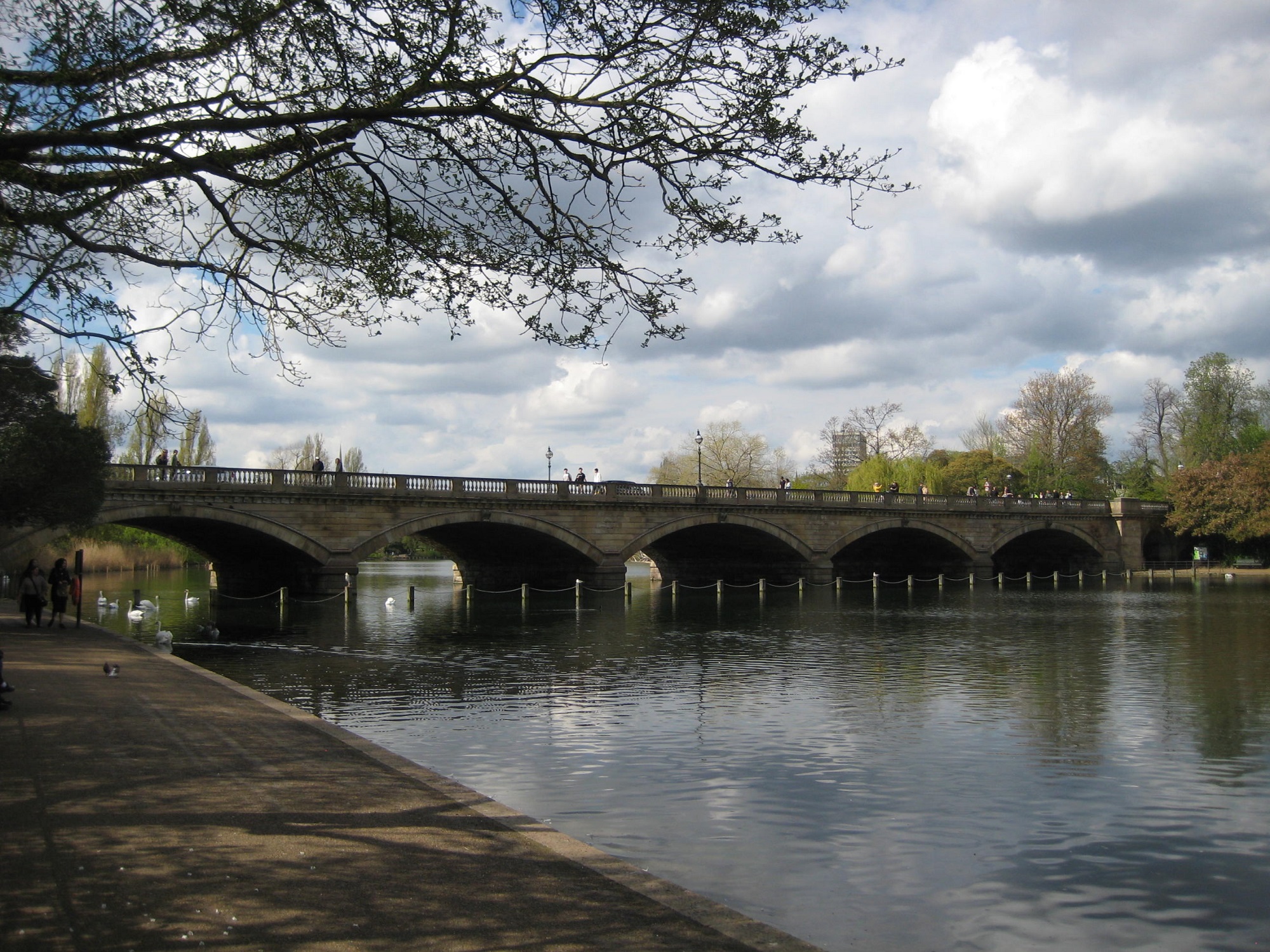SERPENTINE BRIDGE